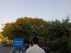 -长藤鬼校(龙翔店)