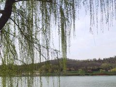 -羊山湖公园