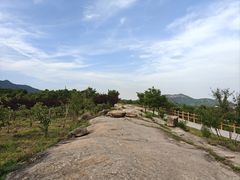 -白水寺森林公园