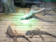 -石家庄市动物园