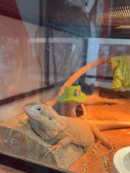 -飞雨言美容美发