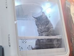 -宠物梦想家(日月豪庭店)