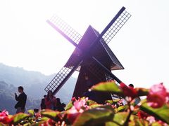 -广州市石门国家森林公园