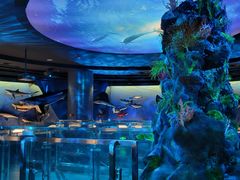 -陕西自然博物馆