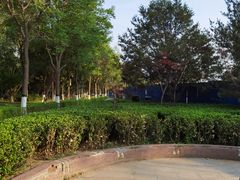 -大兴滨河森林公园