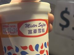 -富豪雪糕车流动点(尖沙咀店)