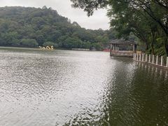 -西樵山风景名胜区-天湖公园