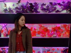-苏州艺都古玩花鸟市场