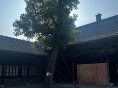-海河游船-永乐码头(大悲院)