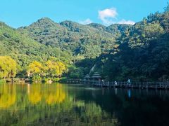 -九如山休闲旅游度假区