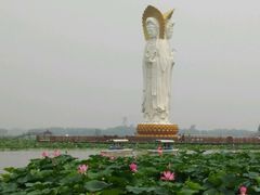 -白洋淀景区