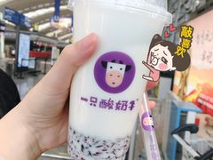 -一只酸奶牛(奎星楼店)