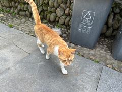 -东天目山风景区