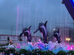-上海海昌海洋公园