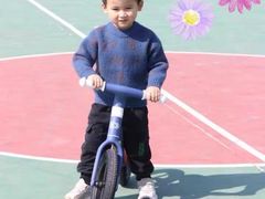 -稚马儿童平衡车自行车俱乐部