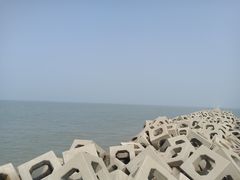 -东疆建设开发纪念公园