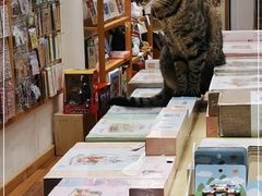 -猫的天空之城概念书店(杭州南宋御街店)