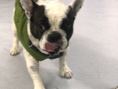 -达爱动物医院·犬猫分区·CT·复杂眼科(远洋山水分院)