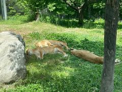 -西安秦岭野生动物园