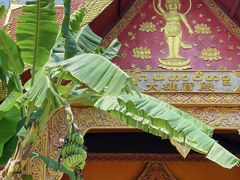 -西双版纳傣族园