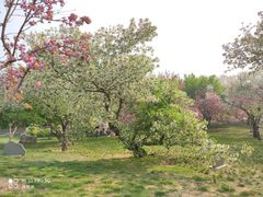 -石家庄市植物园