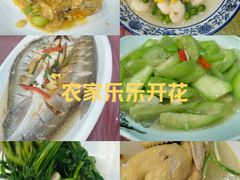 -小陆莲花蟹园农家乐(莲花岛店)