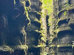 -梭布垭石林景区