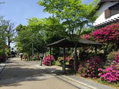 -伊藤久右卫门(宇治本店)
