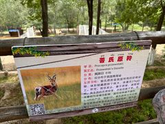 -青藏高原野生动物园