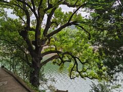 -溪口-滕头旅游景区