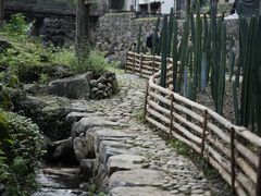 -MOJ coffee(瓯海泽雅水碓坑店)