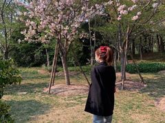 -成都恒博医院·全科检查