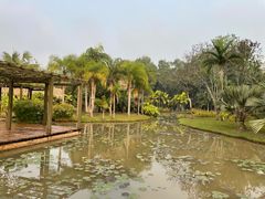 -中国科学院西双版纳热带植物园