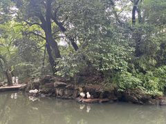 -兰亭风景区