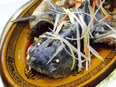 -乡土特色.冷锅鱼.牦牛肉汤锅