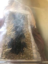 点击看大图 -伊童美家小儿推拿·中式养生(徐汇店)