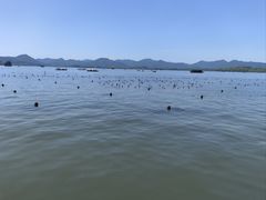 -西湖游船