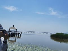-哈素海