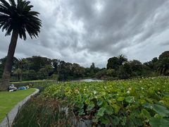 -墨尔本皇家植物园