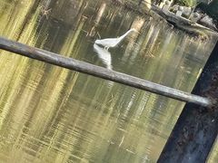 -西安浐灞国家湿地公园