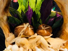 -东椰·海南椰子鸡火锅(朝阳门店)