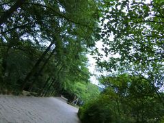 -峙山公园