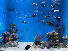 -上海海昌海洋公园