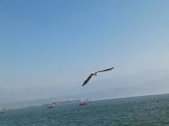 -西昌邛海湿地