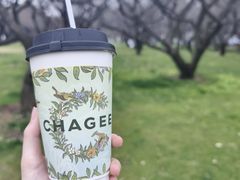 -霸王茶姬(上海恒基名人店)