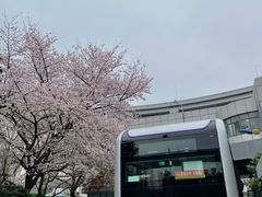 -南浦大桥长途旅游客运站