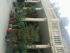 -鹅滋道(甘坑古镇店)