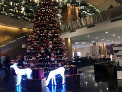 -青岛海尔洲际酒店