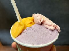 树番茄-Dip in Gelato(富民路店)