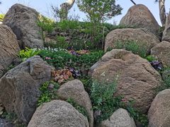 -罗红摄影艺术馆